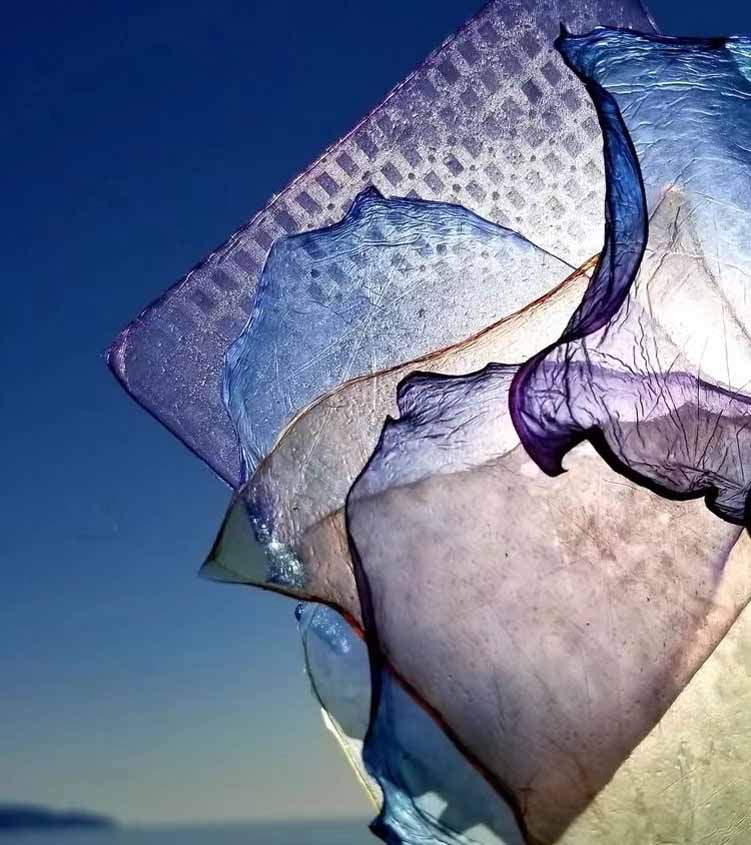 Algae-based alternatives